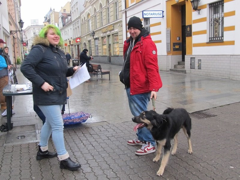 Zakaz hodowli zwierząt futerkowych coraz bliżej (zdjęcia)