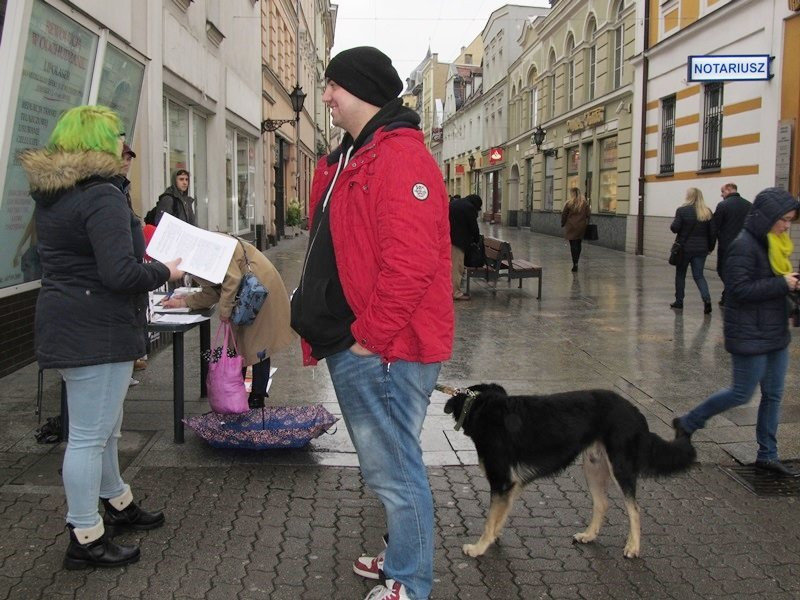 Zakaz hodowli zwierząt futerkowych coraz bliżej (zdjęcia)