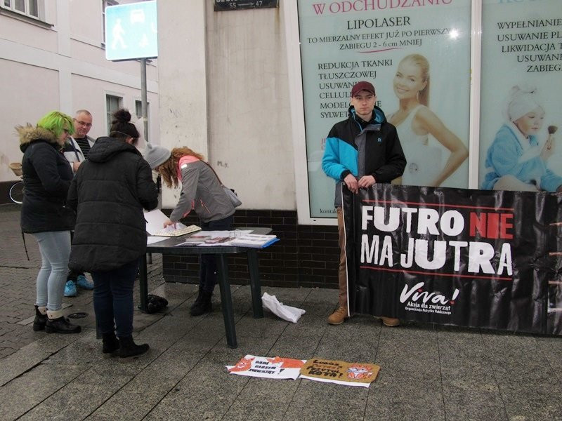 Zakaz hodowli zwierząt futerkowych coraz bliżej (zdjęcia)