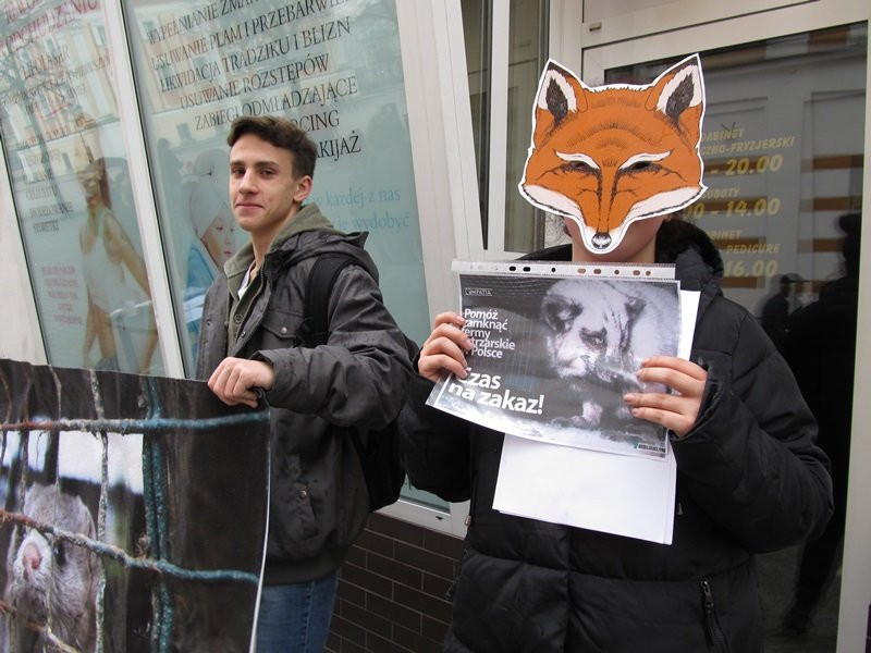 Zakaz hodowli zwierząt futerkowych coraz bliżej (zdjęcia)