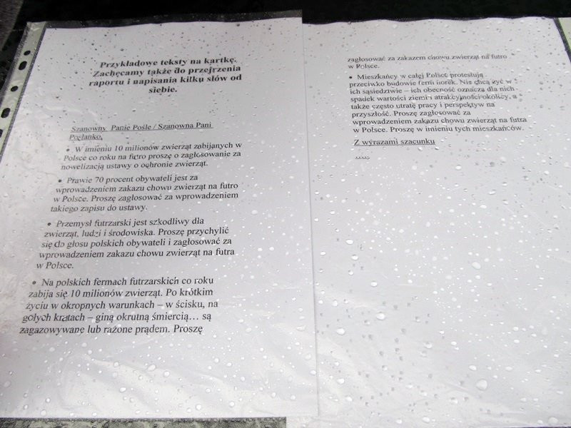 Zakaz hodowli zwierząt futerkowych coraz bliżej (zdjęcia)