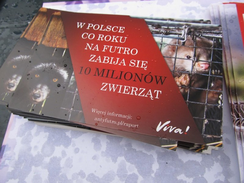 Zakaz hodowli zwierząt futerkowych coraz bliżej (zdjęcia)