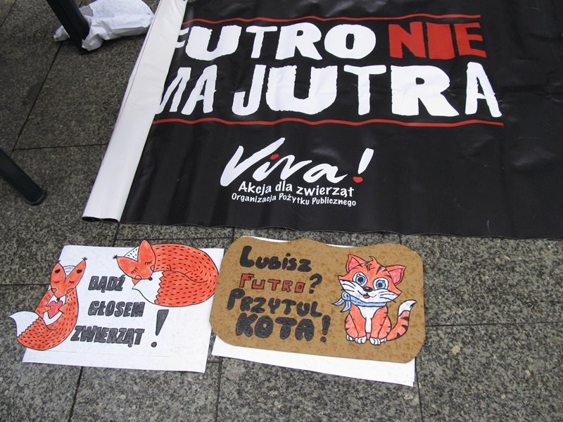 Zakaz hodowli zwierząt futerkowych coraz bliżej (zdjęcia)