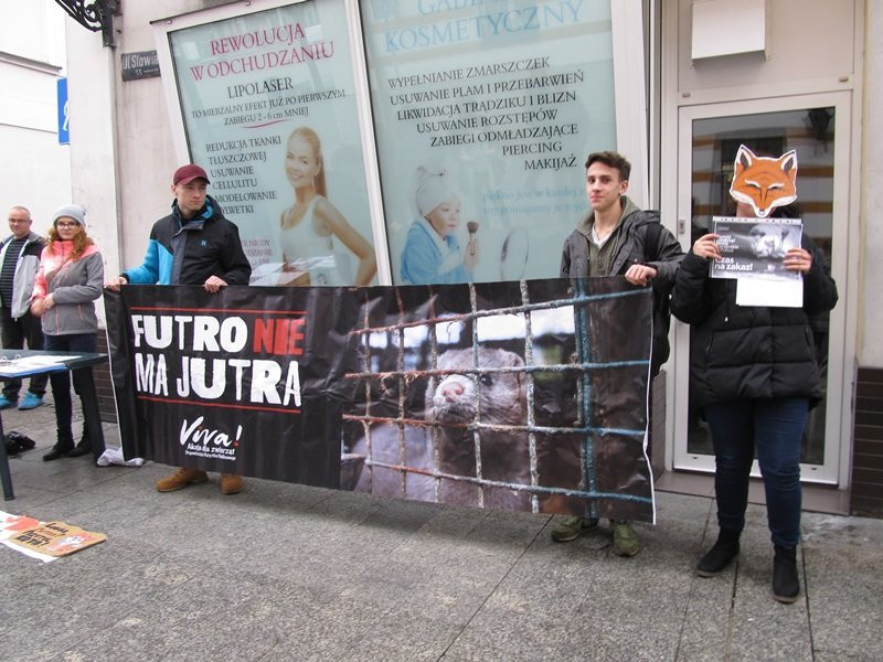 Zakaz hodowli zwierząt futerkowych coraz bliżej (zdjęcia)