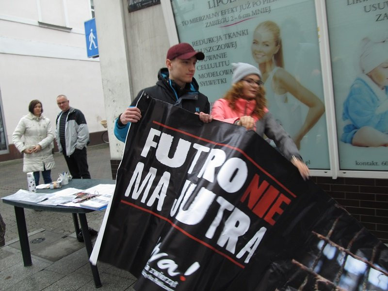 Zakaz hodowli zwierząt futerkowych coraz bliżej (zdjęcia)