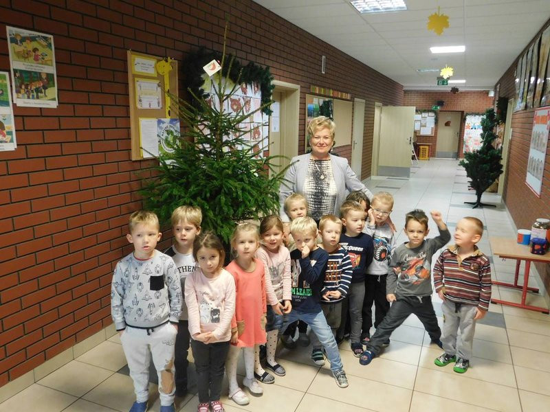 Choinki są już w drodze (kilka zdjęć)