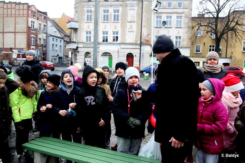 Ekologiczna choinka na Nowym Rynku (zdjęcia)