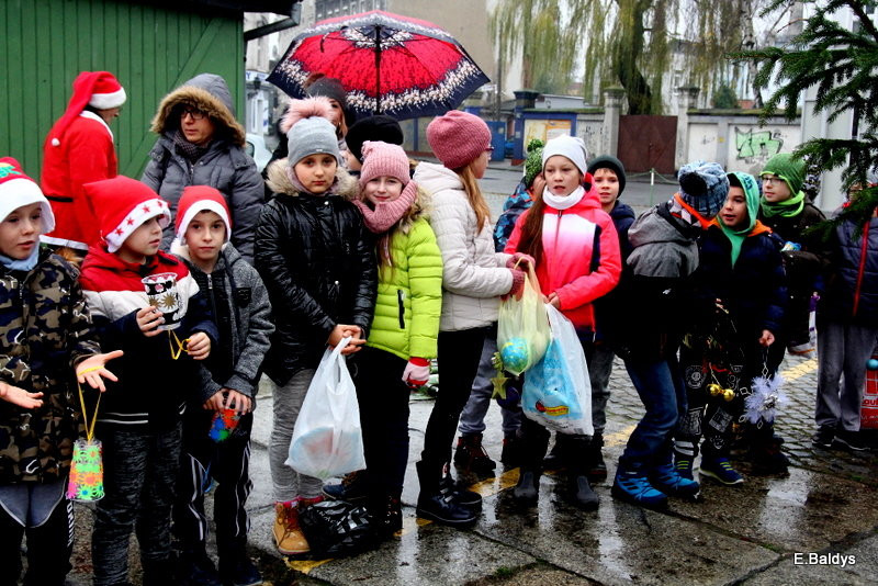 Ekologiczna choinka na Nowym Rynku (zdjęcia)