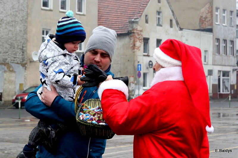 Ekologiczna choinka na Nowym Rynku (zdjęcia)