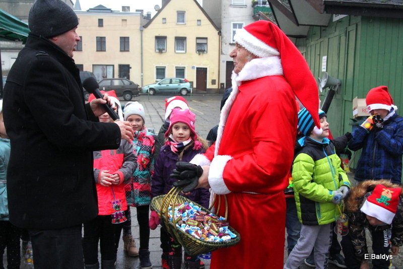 Ekologiczna choinka na Nowym Rynku (zdjęcia)