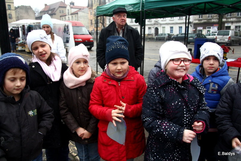 Ekologiczna choinka na Nowym Rynku (zdjęcia)