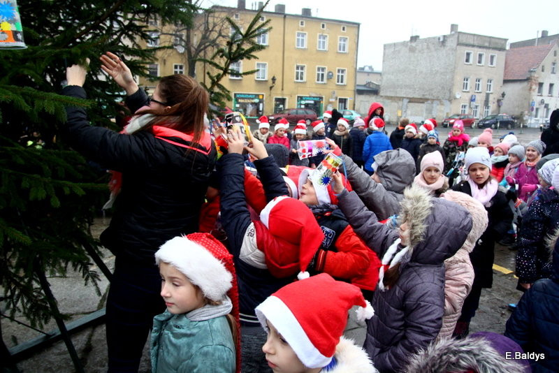 Ekologiczna choinka na Nowym Rynku (zdjęcia)