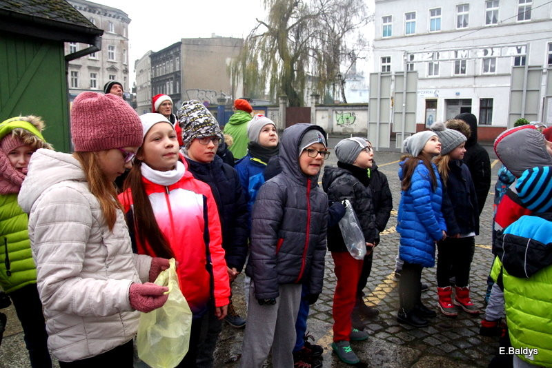Ekologiczna choinka na Nowym Rynku (zdjęcia)