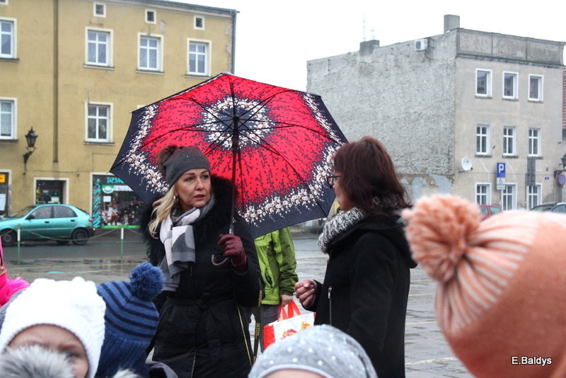 Ekologiczna choinka na Nowym Rynku (zdjęcia)