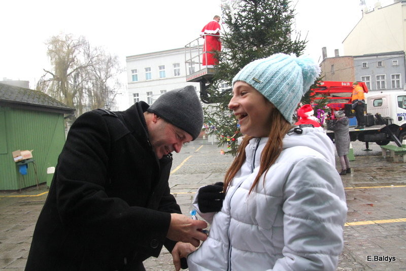 Ekologiczna choinka na Nowym Rynku (zdjęcia)