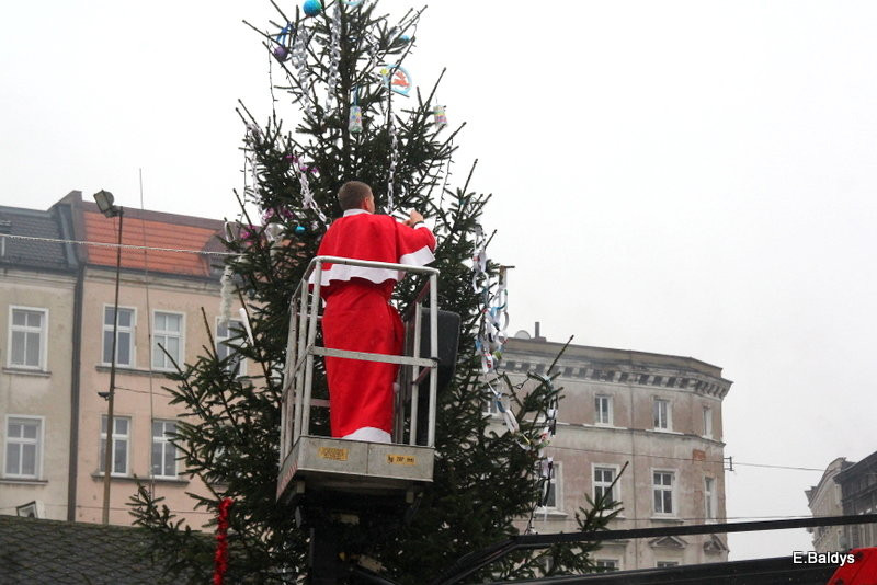 Ekologiczna choinka na Nowym Rynku (zdjęcia)