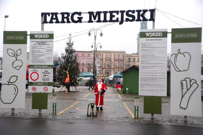 Ekologiczna choinka na Nowym Rynku (zdjęcia)