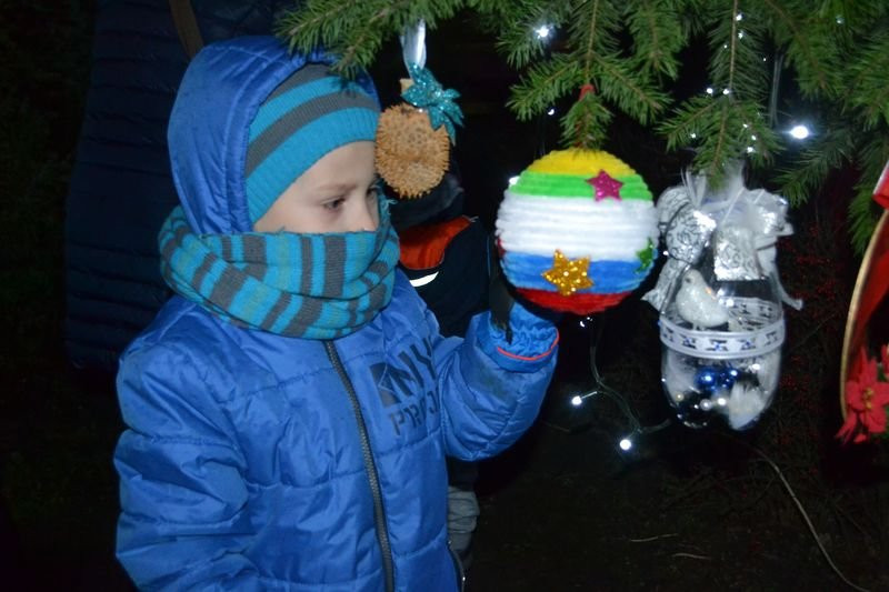 W Krzemieniewie ubrano choinkę (zdjęcia)
