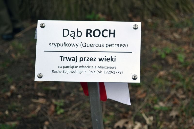 Odsłonięcie tablicy w Mierzejewie (zdjęcia)
