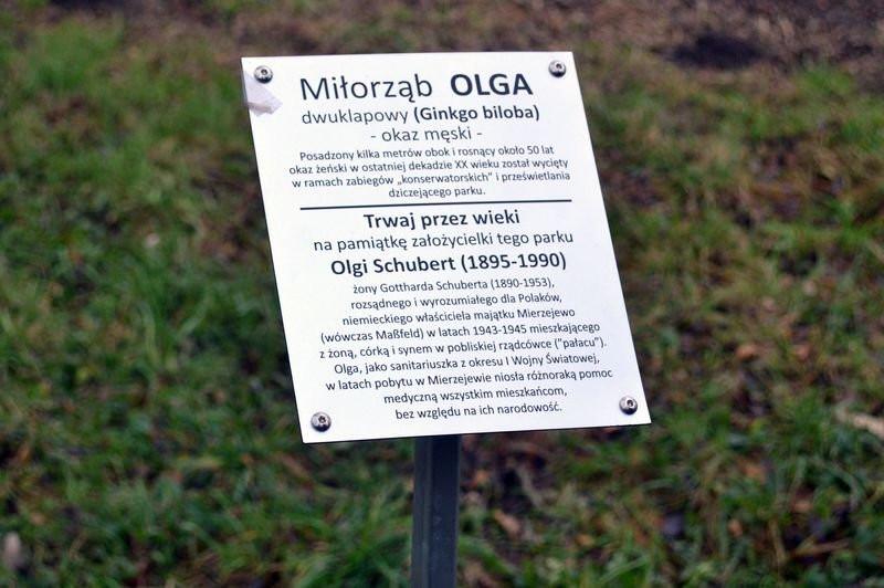 Odsłonięcie tablicy w Mierzejewie (zdjęcia)