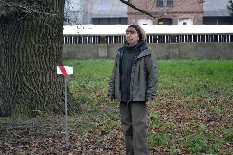 Odsłonięcie tablicy w Mierzejewie (zdjęcia)