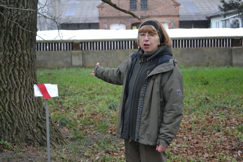 Odsłonięcie tablicy w Mierzejewie (zdjęcia)