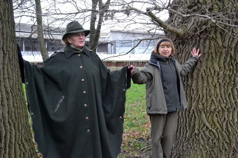 Odsłonięcie tablicy w Mierzejewie (zdjęcia)