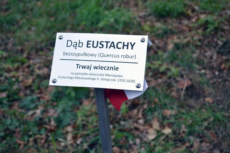 Odsłonięcie tablicy w Mierzejewie (zdjęcia)