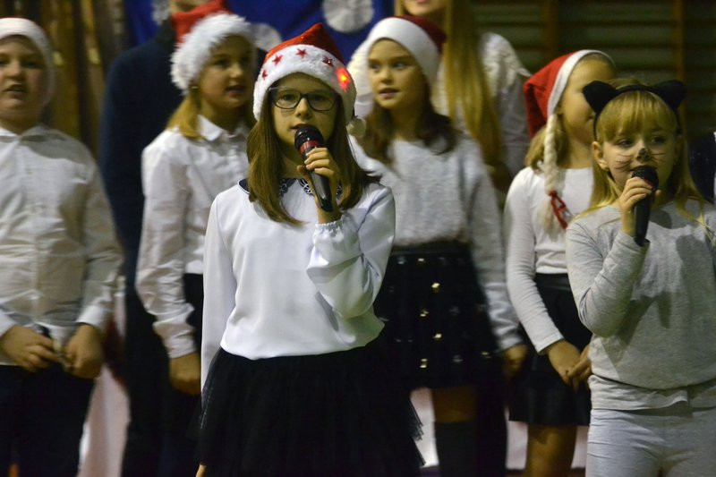 Świąteczne spotkanie w Pawłowicach (zdjęcia)