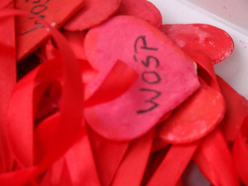 Rekordowy bieg, marsz i kijomarsz (zdjęcia)