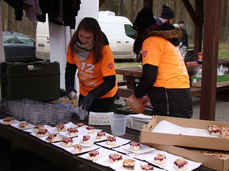 Rekordowy bieg, marsz i kijomarsz (zdjęcia)