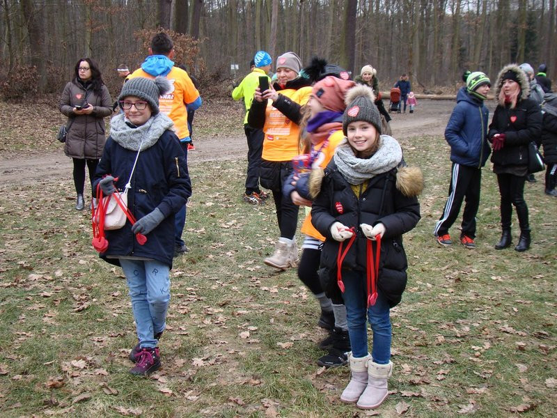 Rekordowy bieg, marsz i kijomarsz (zdjęcia)