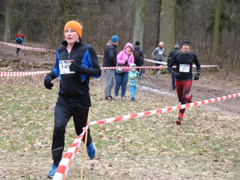 Rekordowy bieg, marsz i kijomarsz (zdjęcia)