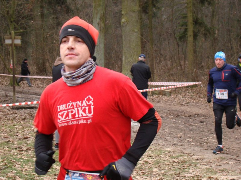 Rekordowy bieg, marsz i kijomarsz (zdjęcia)