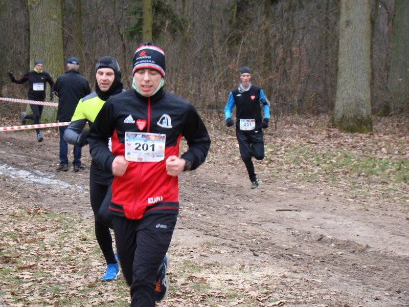 Rekordowy bieg, marsz i kijomarsz (zdjęcia)