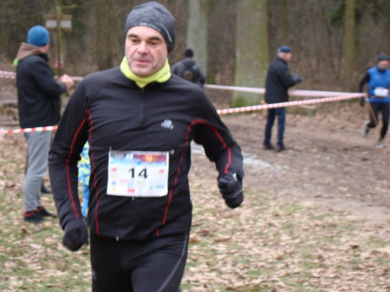 Rekordowy bieg, marsz i kijomarsz (zdjęcia)