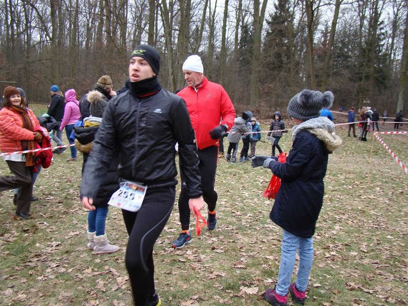 Rekordowy bieg, marsz i kijomarsz (zdjęcia)