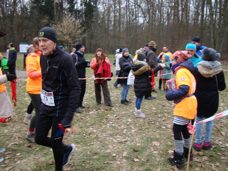 Rekordowy bieg, marsz i kijomarsz (zdjęcia)