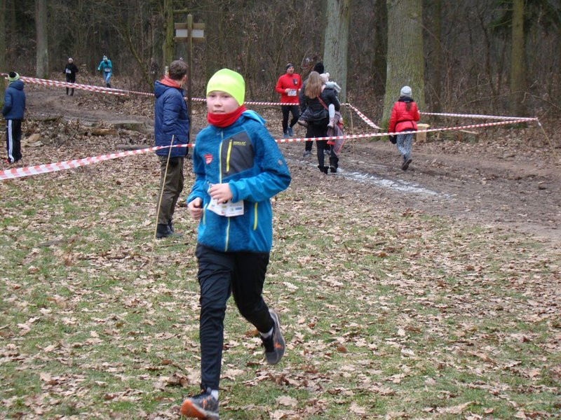 Rekordowy bieg, marsz i kijomarsz (zdjęcia)