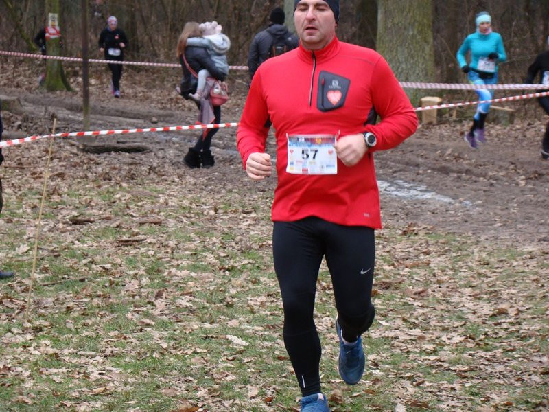 Rekordowy bieg, marsz i kijomarsz (zdjęcia)