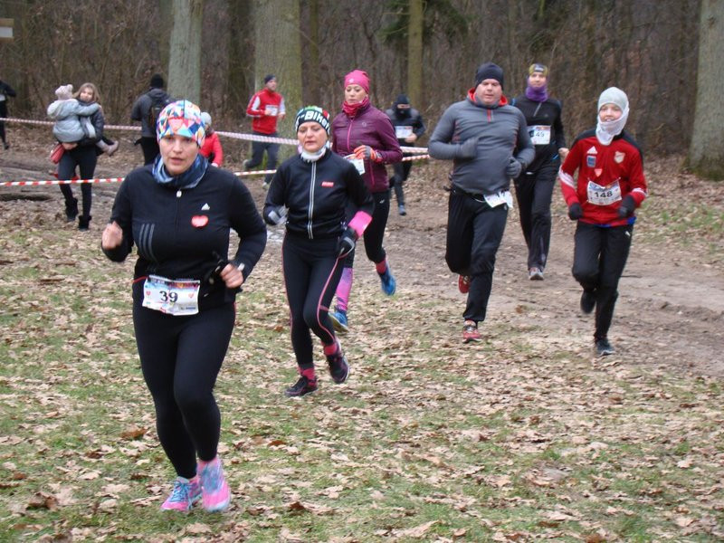 Rekordowy bieg, marsz i kijomarsz (zdjęcia)