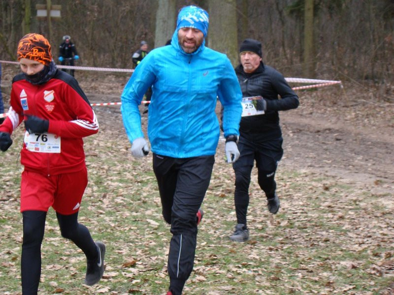 Rekordowy bieg, marsz i kijomarsz (zdjęcia)