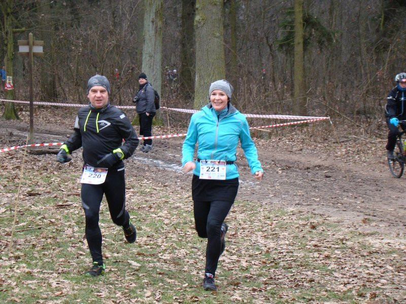 Rekordowy bieg, marsz i kijomarsz (zdjęcia)