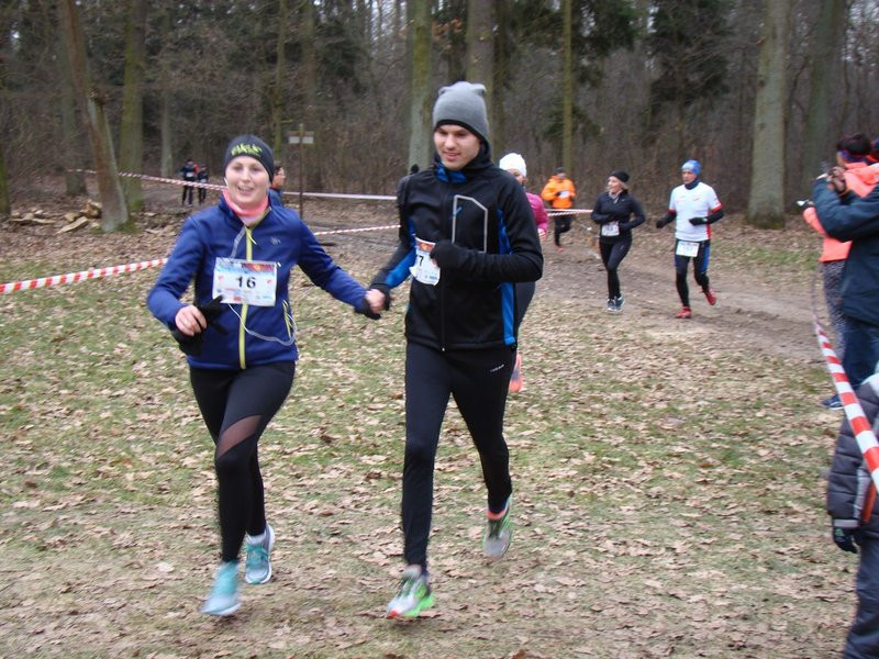 Rekordowy bieg, marsz i kijomarsz (zdjęcia)