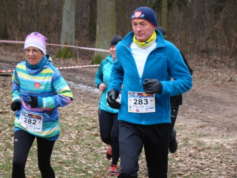 Rekordowy bieg, marsz i kijomarsz (zdjęcia)