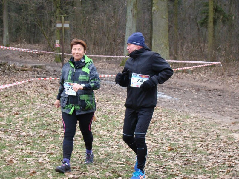 Rekordowy bieg, marsz i kijomarsz (zdjęcia)