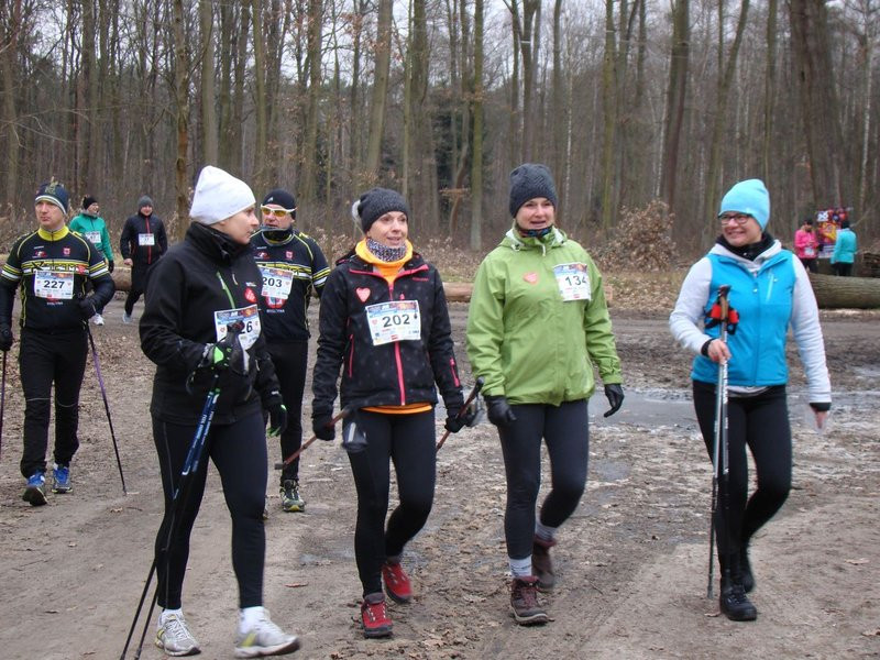 Rekordowy bieg, marsz i kijomarsz (zdjęcia)