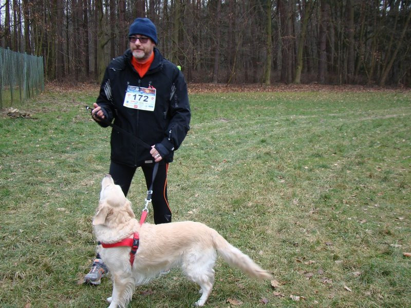 Rekordowy bieg, marsz i kijomarsz (zdjęcia)