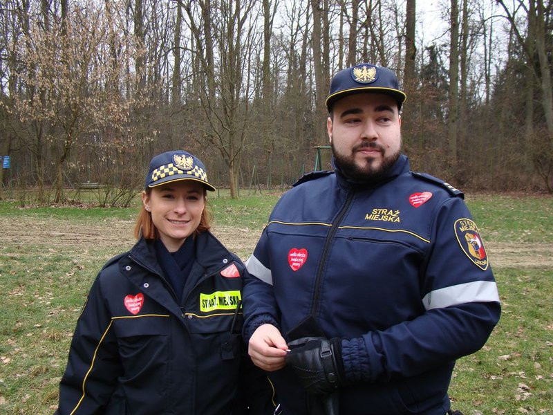 Rekordowy bieg, marsz i kijomarsz (zdjęcia)