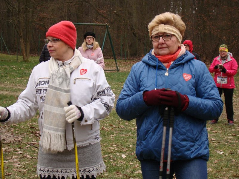 Rekordowy bieg, marsz i kijomarsz (zdjęcia)